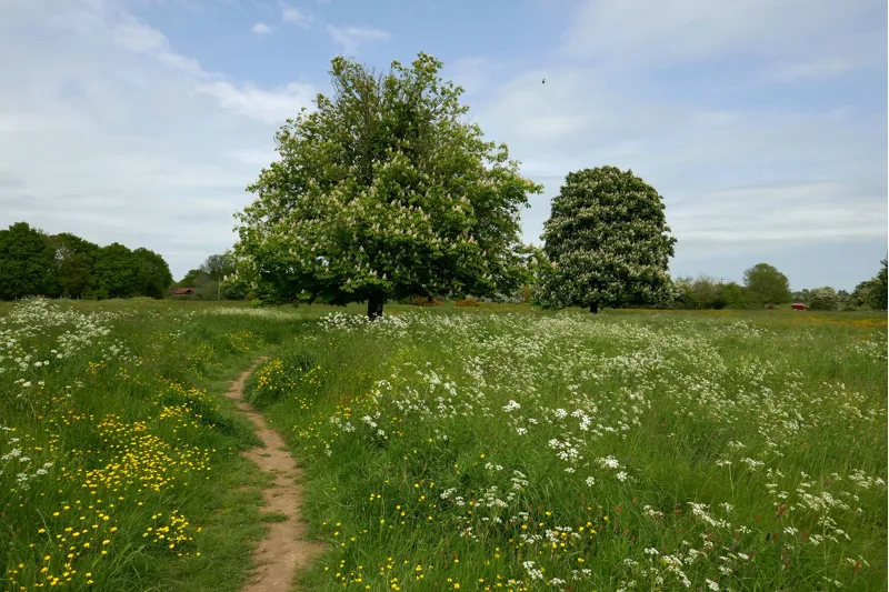 Cicerone - Walking In Norfolk - Laurence Mitchell-5
